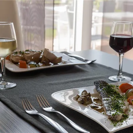 Ogtours Nord La Terrasse Hotel Tours