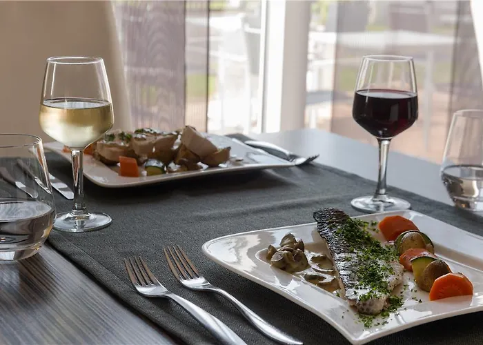 Ogtours Nord La Terrasse Hotel Tours